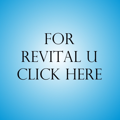 home business with revital u