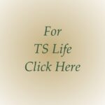 TS Life home based business opportunity