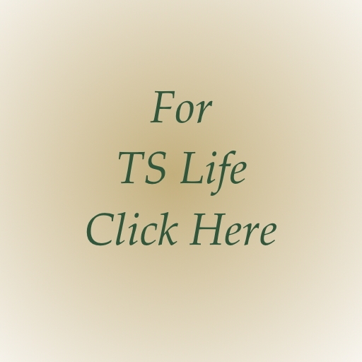 work from home with tslife