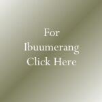 ibuumerang home business network marketing