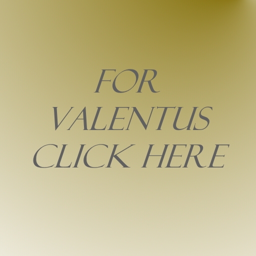 valentus home business