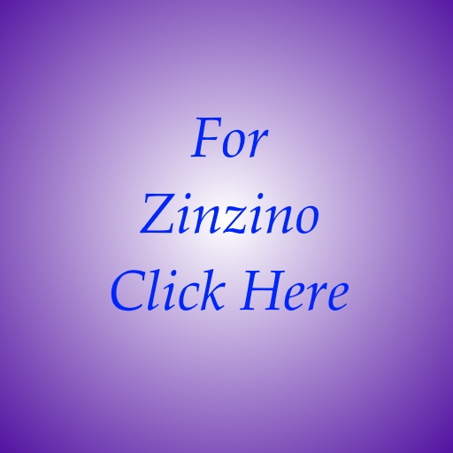 zinzino business to work from home