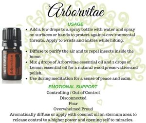 about doterra arborvitae essential oil